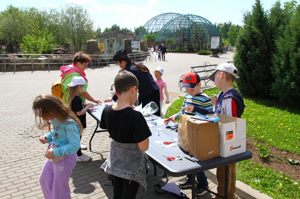 ������� ��������CAMC9060.jpg